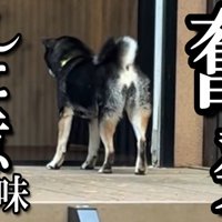 部屋に戻ってしまいました！