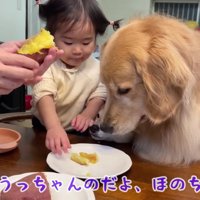 こっちがいい！！