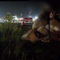 喜びを爆発させる♪