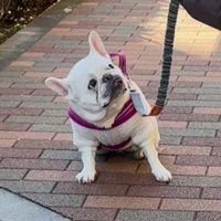 「あんた誰！？」