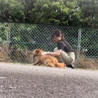 女性に体を撫でられるボサボサの犬