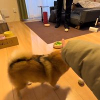 男性を指さす女性