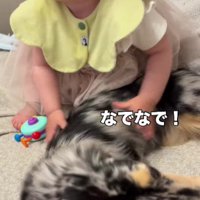 なでなでも強め！？