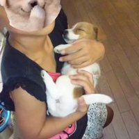 親にお願いして迎えた