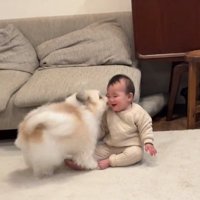 顔を近づける小太郎くん