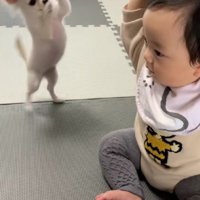 2人でダンスを踊ることも