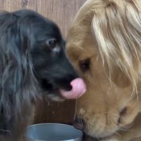 そろそろ終わりそう？