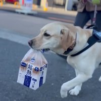 「任せて！お家まで運んであげる♪」