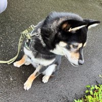 「今日は行きたくないなあ」