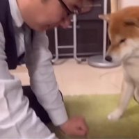 こむぎに選んでもらおう！
