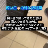 ドッキリを仕掛ける妹さん