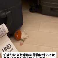 ストラップが欲しかった♡