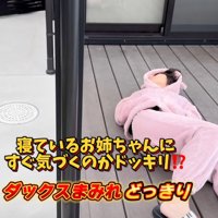 寝転がる女の子