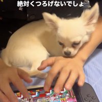 「太鼓の達人」プレイ中