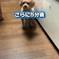 すべての感情を出し尽くした