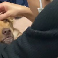 全身の力が抜けていった