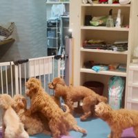 「行かないで！」の大合唱！！