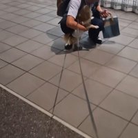 CoCoちゃんとパパさんの再会6