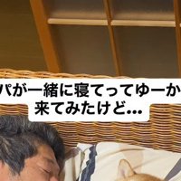 添い寝を依頼された