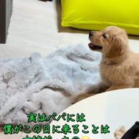 座るかんくろう君
