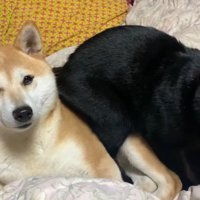 「どいてあげないの？」と声を掛けたら…