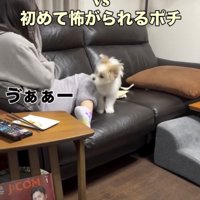 まさかの悲鳴が！