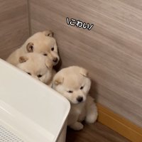 可愛い姿にキュン♡