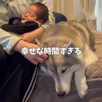 みんなで寄り添う姿にホッコリ