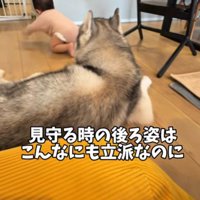 本当の親のよう