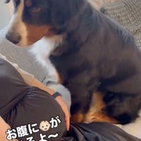 「そうなの！？」