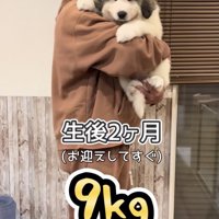 パパの腕にすっぽり