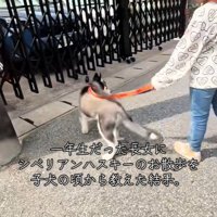 「いくよ～」「はーい」