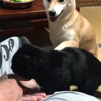 再び天くんの背中にちょんっ