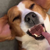 全身脱力したまま爆睡