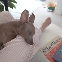 甘えん坊さんに戻りました♡