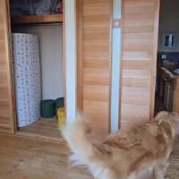 別の部屋へ移動