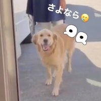 笑顔で走ります