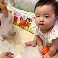 楽しそう♪