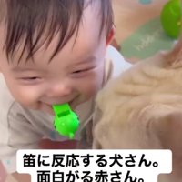 笛を吹いたら…