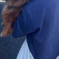 抱っこされるだん君