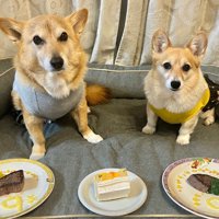 年齢も一緒だよ♪