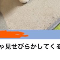 メッセージ