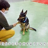 足を拭いてもらう維桜ちゃん