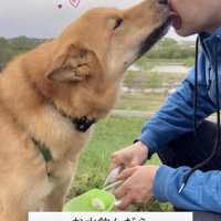 相思相愛