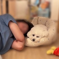 眠る人と犬