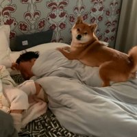 ママを見る花子ちゃん