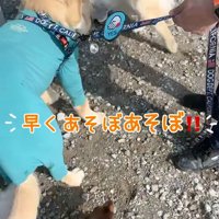 2匹とも嬉しそう♪
