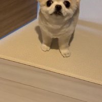 思わずキュン♡