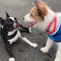 ちょっぴりお疲れ？