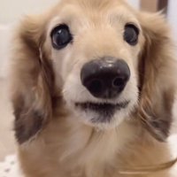 もう一度トライ